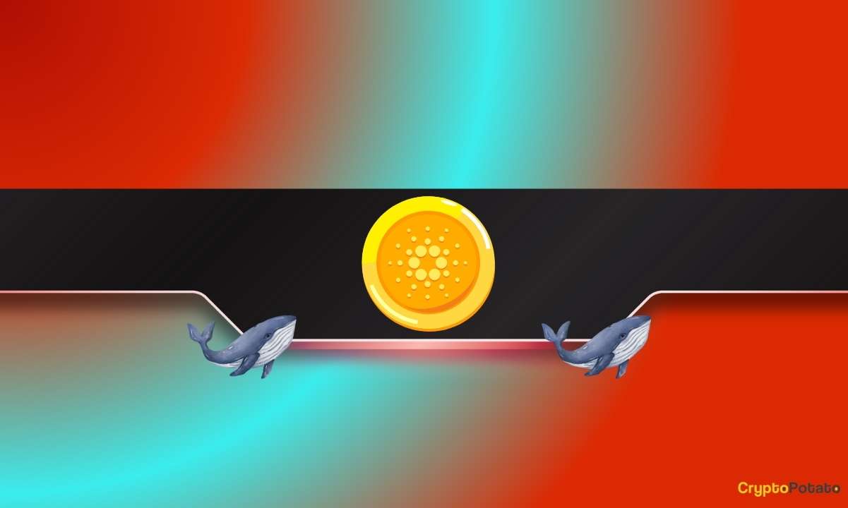 During Market Collapse, Will Cardano Whales\